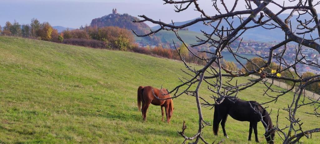 Hotel Barcadam Banska Stiavnica Bagian luar foto